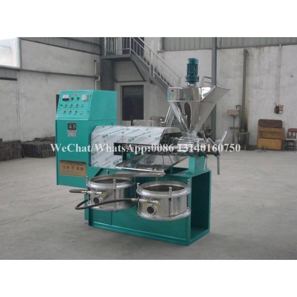 80-125kg/H Nuts Processing Machine Shea Automatic Oil Extraction Machine