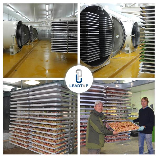 Pet Food Fruit Vegetable Vacuum Freeze Drying Machine CE Certification