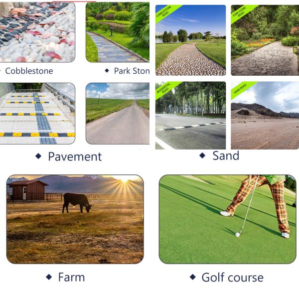 Mini Electric Vehicle 2 Seater Lifted Buggy Golf Carts Lead Acid Lithium Battery Powered