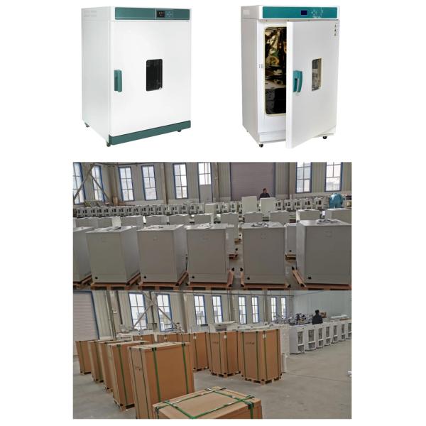 45L Forced air drying oven Electric hot blast drying oven