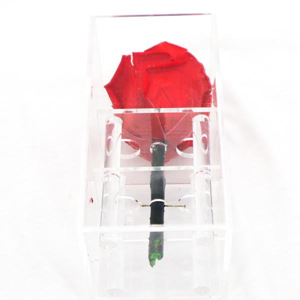 Red Preserved Rose Flower Bring Soft And Delicate Detail For Anniversary Gift