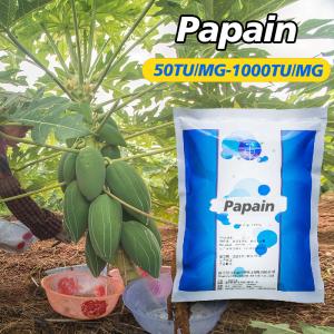 protease price 300USP-6000USP papain manufacturer, enzyme preparation with price