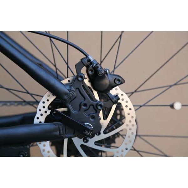 Mid Drive Electric Mountain Bike Long Range 29" 36v 250w 14Ah Torque Sensitive Sensor