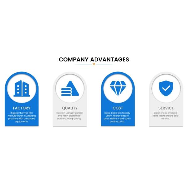Customized Laminated Material PE Coated Metalized Film for Heat Insulation