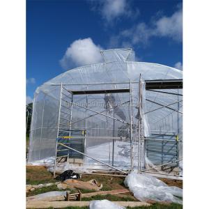 Grow Vegetables Single Span Greenhouse Flowers Tropical Climate Greenhouse