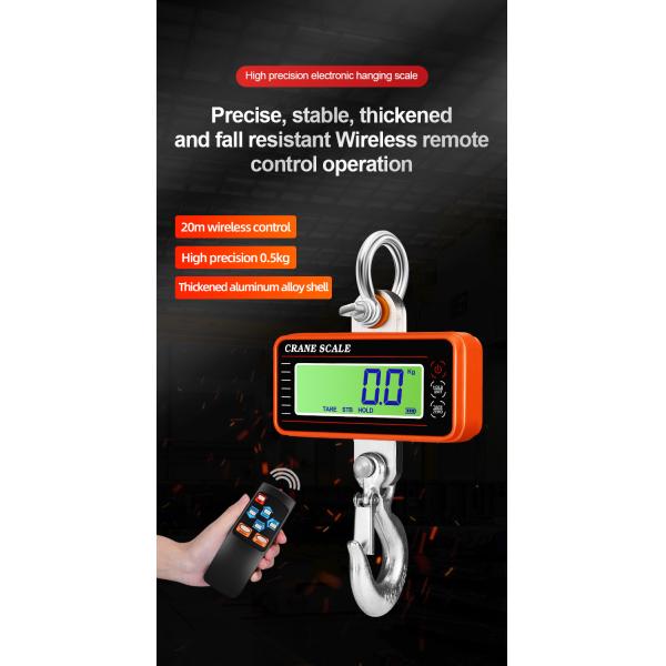 Blue Aluminum Alloy Stainless Steel Precision Hanging Crane Weighing Scale 100kg 300kg 500kg 1000kg 1t With OIML Approval