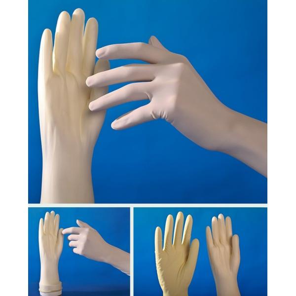 Buy CE Certification Disposable Exam Gloves Natural Latex Surgical Gloves at wholesale prices