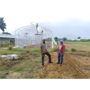 150 Micron Single Span Greenhouse Plastic Film Greenhouse Natural Ventilation