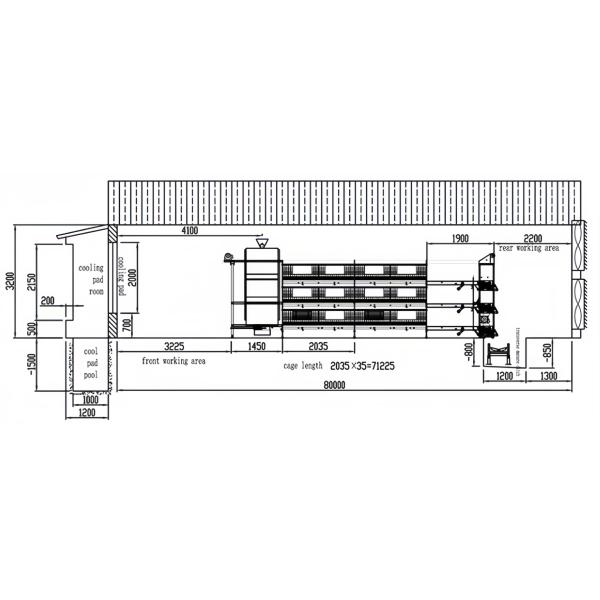 Steel Chicken House Equipment Easy Install With Automatic Feeding System
