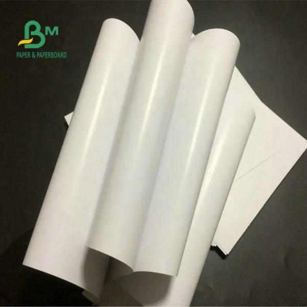 95 x 130cm 200gram 250gram White Glossy Art Paper Roll For Brochure Making