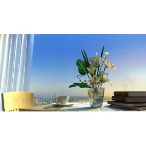 SHAN DONG FRUIT KING FOODSTUFF CO.,LTD