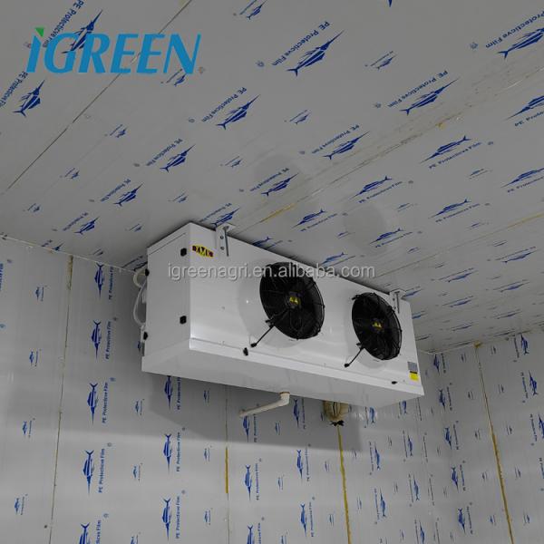 Hydroponics Vegetable And Flower Cold Storage Room Walk In Freezer Customization