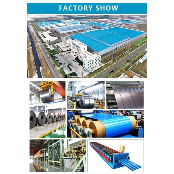 Hot Rolled Oiled Galvanized Steel Sheet Coil Zinc Coating 30-275g M2 Thickness 2mm