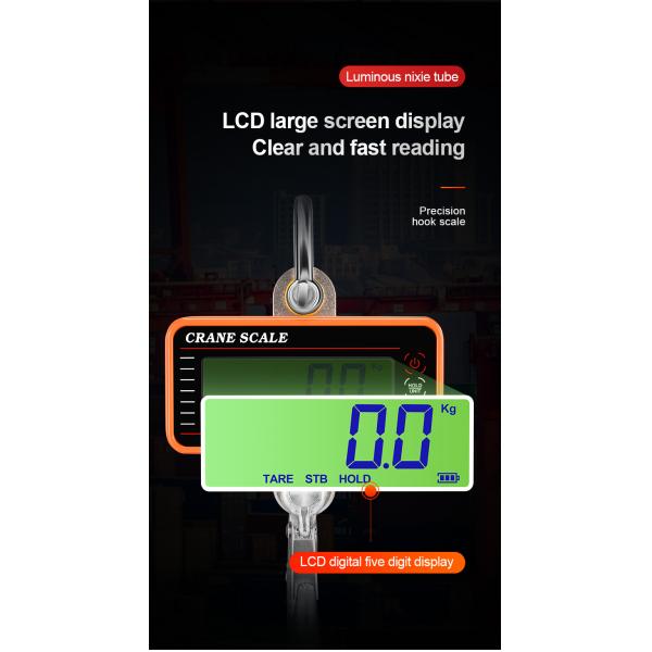 Blue Aluminum Alloy Stainless Steel Precision Hanging Crane Weighing Scale 100kg 300kg 500kg 1000kg 1t With OIML Approval