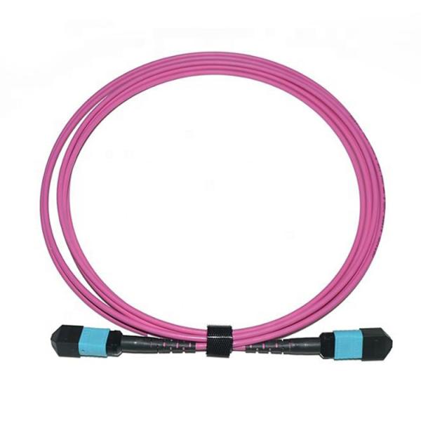 12 Core Male MPO Trunk Cable Multimode MTP MPO Patch Cord
