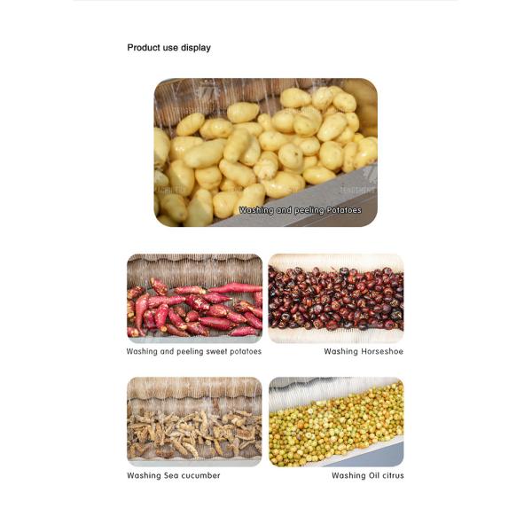 Tengsheng 1200KG/H Potato Washing And Peeling Machine Carrot Melon Sand Roller