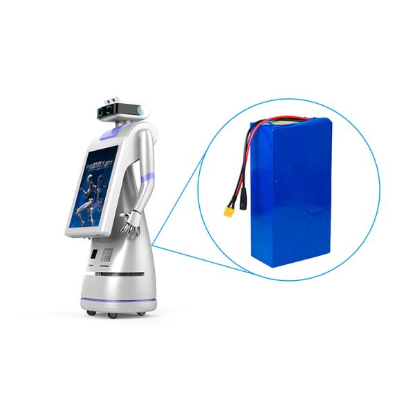 Customized Li Ion Power Battery Pack 20Ah Lifepo4 48v Battery Pack