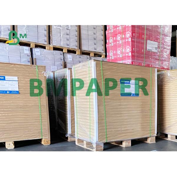 300g 400g Single Side Waterproof PE Coated Kraft Paper To Food Packing Boxes
