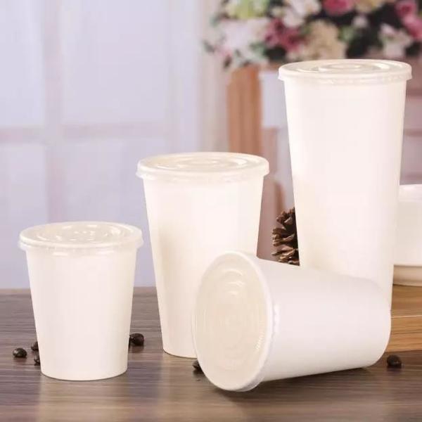 8oz Disposable Biodegradable Party Bar PLA Cup Sugarcane Paper Cups For Take Away Bubble Tea Wedding Coffee Hot Drinking