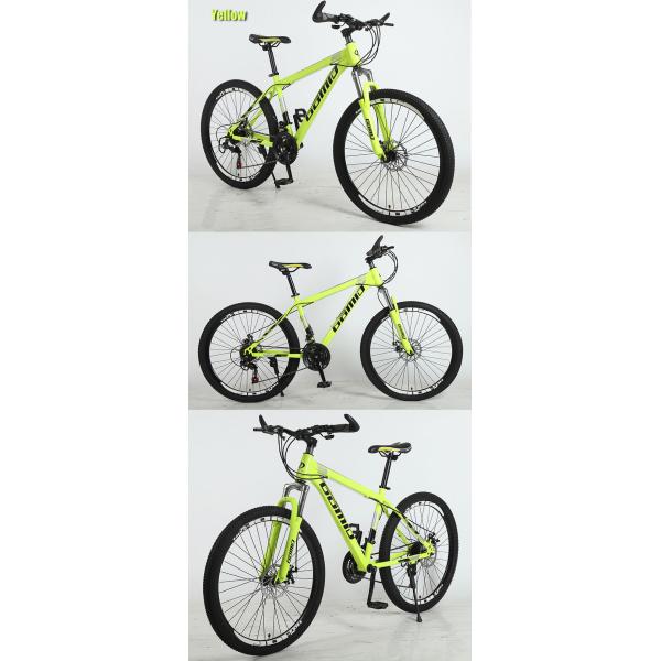 29 inch Mountain Bike 24 Speed OEM Bicycle with Steel Fork and Customizable Options