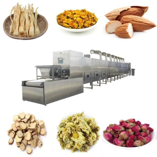 Peanut Dried Fruit Microwave Sterilization Machine ISO9001 Approved