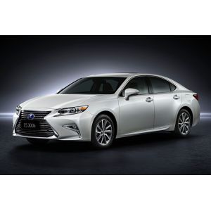Automative ES300H Lexus Hybrid Battery / Hybrid Battery Cell Replacement