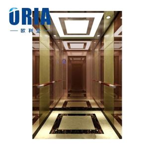 ORIA mordenized home resident home Villa elevator