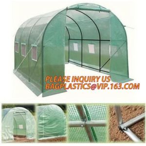 Economic Small Windscreen Green Garden House,vegetable greenhouse hoop green