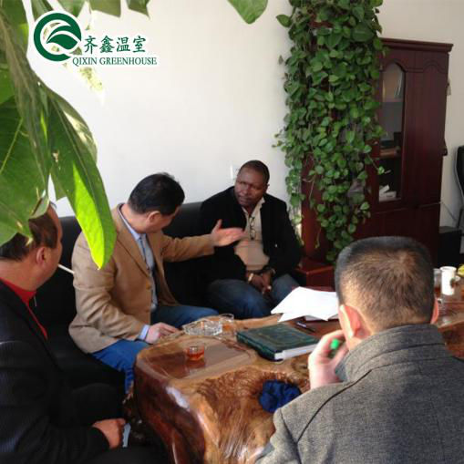 Single Layer Tower Garden for Aduaponics Affordable Agricultural Greenhouse