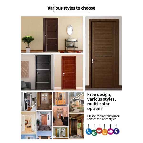 Malaysia Style Light Pattern Security Steel Matte Black Finish Bright Color Pivot Door with Stainless Steel Handle