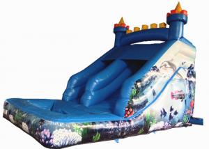 Quality Small inflatable mini castle water slide The frozen castle inflatable tiny water slide for children under 8 years for sale