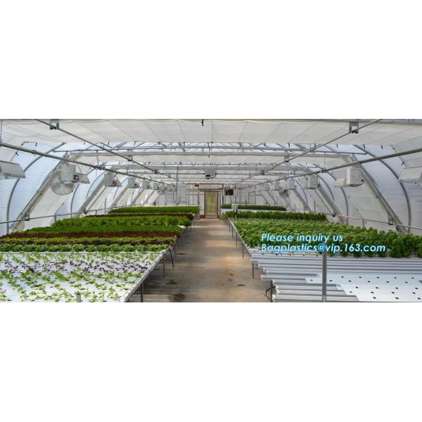 small garden green house,Multispan Tunnel Greenhouse for Tomato Agricultural Green houses,fabric steel wire agriculture