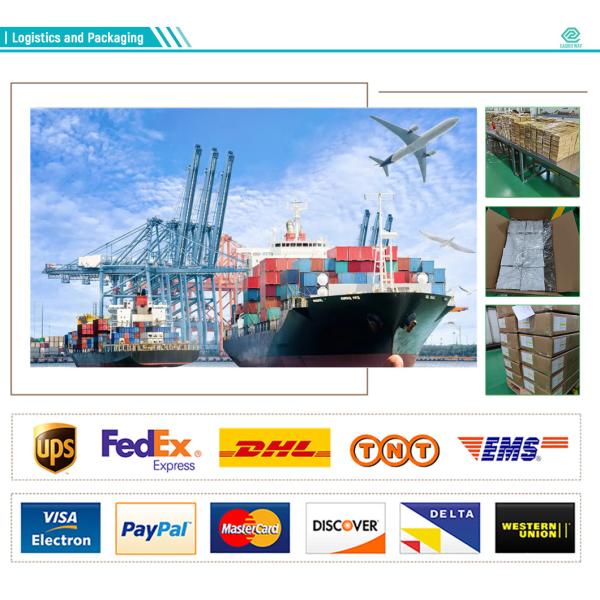 Luer Slip Luer Lock Butterfly Scalp Vein Needle 25G For Hospital Vein Infusion