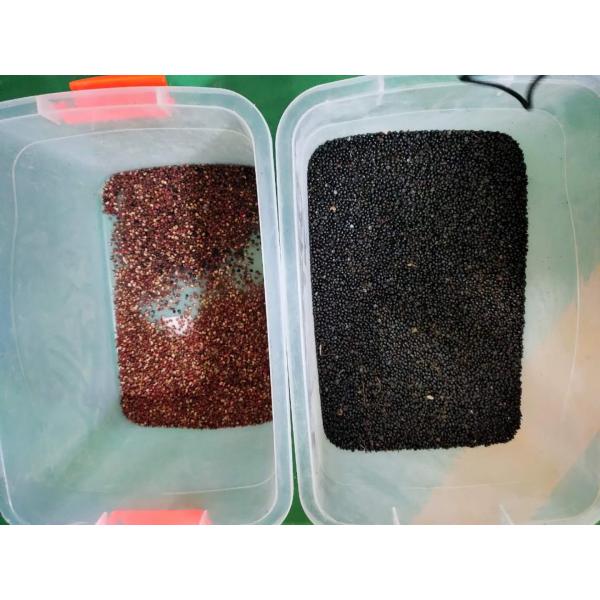 Multifunction Intelligent Automatic 3 Chutes Optical White Black Pepper Color Sorting Machine