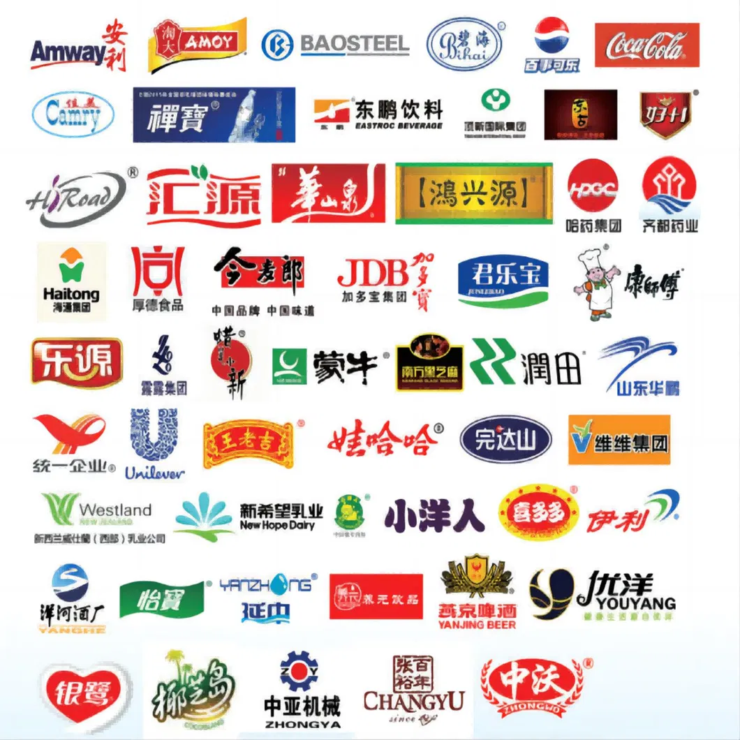 Sea Buckthom Fruit Processing Line Peach Apricot Plum Fruit Processing Line