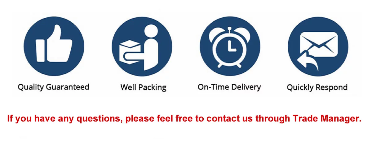 GOSO Locksmith Tools Blank Keys Lock Picks and Plug Spinner