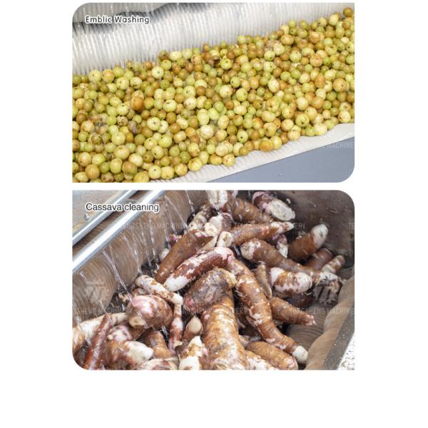 Root Veg 1.5KW Commercial Potato Washer , Kiwifruit Lotus Root Potato Peeler Machine