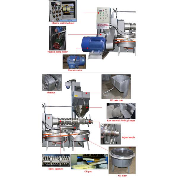 Easy Operation Screw Oil Press Machine Soybean Oil Extraction Machinery