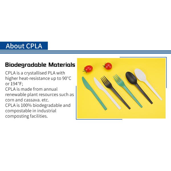 Quanhua Wrapper Fast Food Disposable Biodegradable Spoon Fork Compostable Cornstarch PLA Cutlery Set