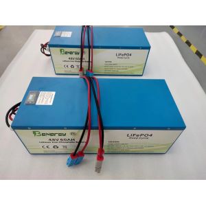 Quality OEM Golf Cart Lithium Battery 48V 60AH Rechargeable Ev Batteries for sale