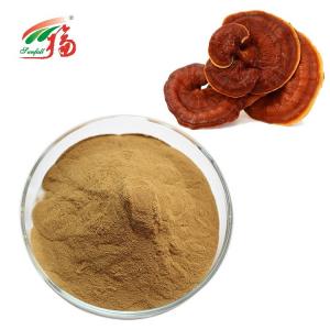Quality 30% Polysaccharides Mushroom Extract Powder Reishi / Ganoderma Lucidum Extract for sale