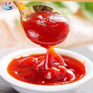 Quality RTE Concentrated Tomato Paste Puree Bulk Food Additives 25kg for sale