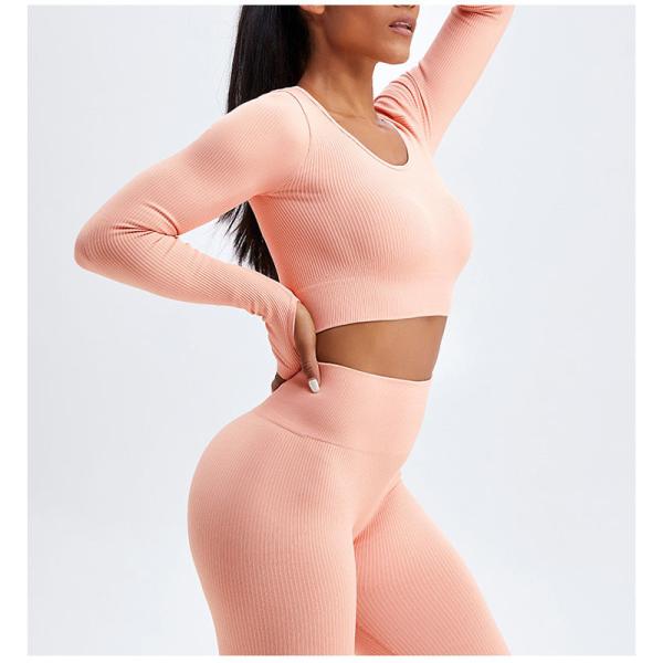 Stretchable Female Yoga Set Clothes Seamless Running Ribbed Crop Top Leggings