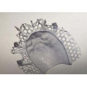 Quality CAD Design Titanium Alloy Partial Denture Metal Framework for sale