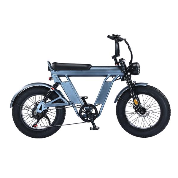 20" Wheel Size Folding Fat Tire Electric Bike Frame For Exercise Balance And Exercise