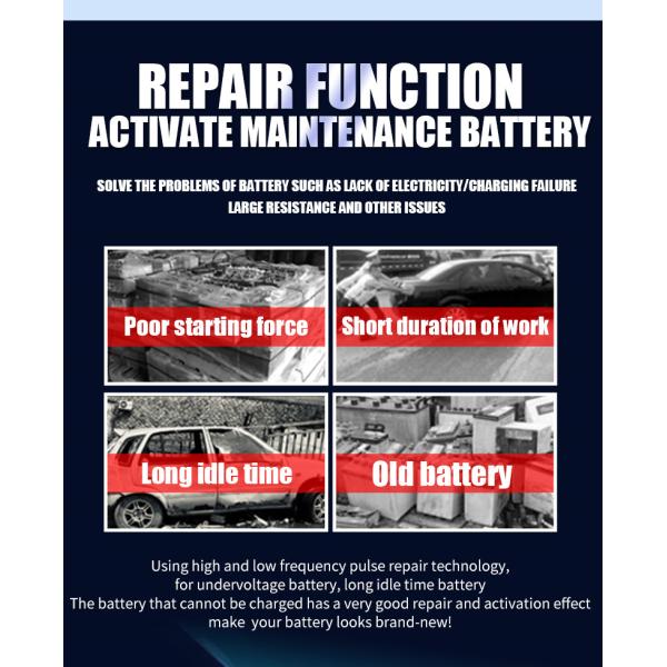 12V 24V PWM Intelligent Lead Acid Battery Charger ISO9001