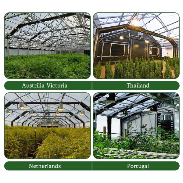 BAOLIDA 20 X 40 Polycarbonate Tunnel Automated Blackout Greenhouse