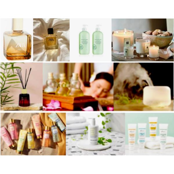 All Day Wear Zara Oriental Fragrance Essence Perfume Making Oil High Concentrate