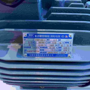 Accurate Braking High Efficiency Electric Motor With ISO9001