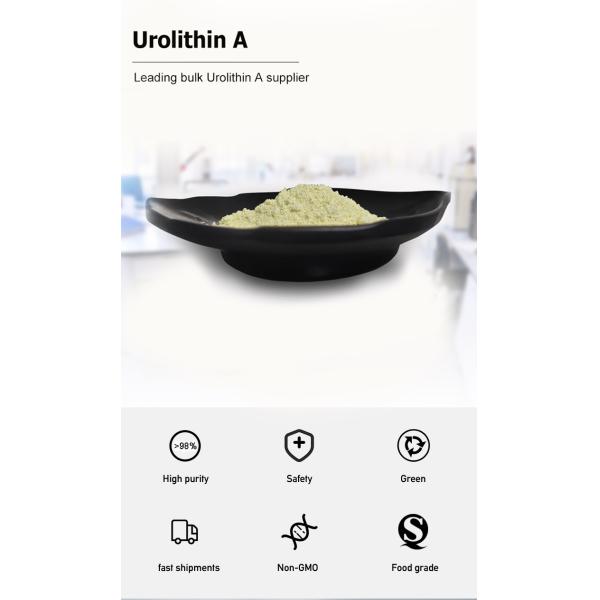 High Purity 99% Urolithin A Supplement CAS 1143-70-0 For Food Manufactured